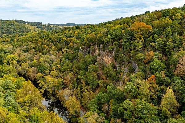 97.8 Acres of Land for Sale in Verona, Virginia