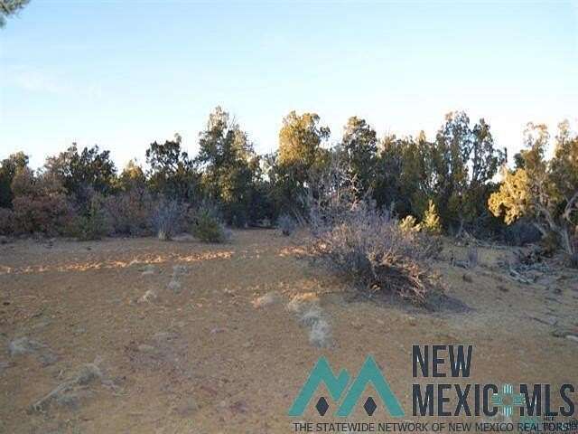 14.8 Acres of Land for Sale in Tinaja, New Mexico