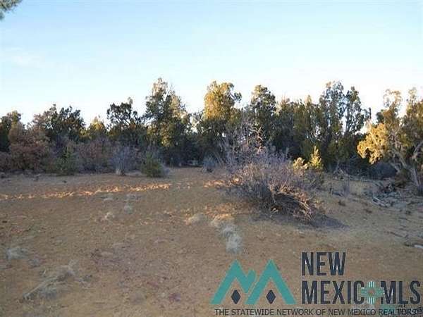 14.8 Acres of Land for Sale in Tinaja, New Mexico