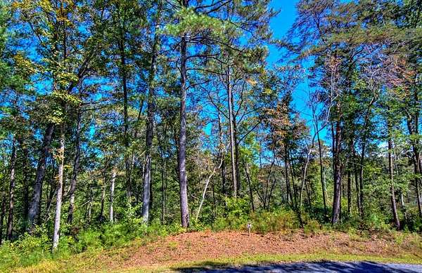 1.42 Acres of Residential Land for Sale in Ellijay, Georgia