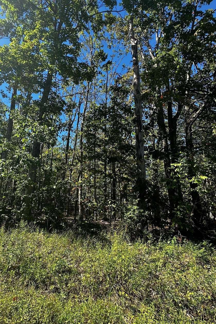 Residential Land for Sale in Gaylord, Michigan