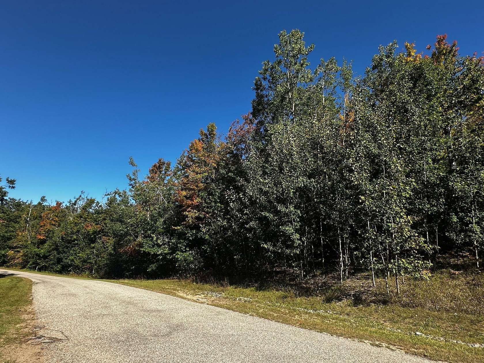 Land for Sale in Gaylord, Michigan