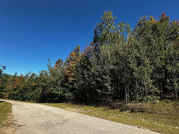Land for Sale in Gaylord, Michigan