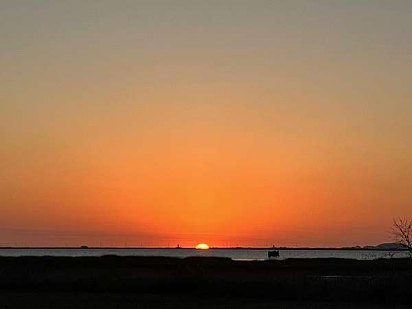 0.35 Acres of Residential Land for Sale in Rockport, Texas