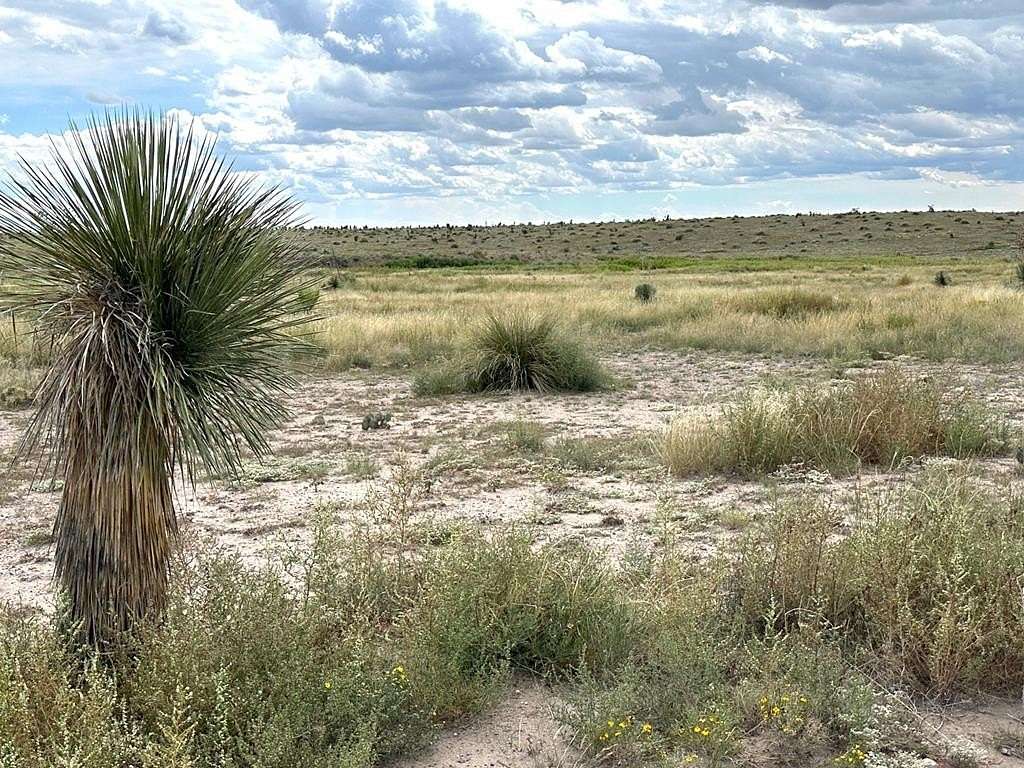 5 Acres of Land for Sale in Marfa, Texas