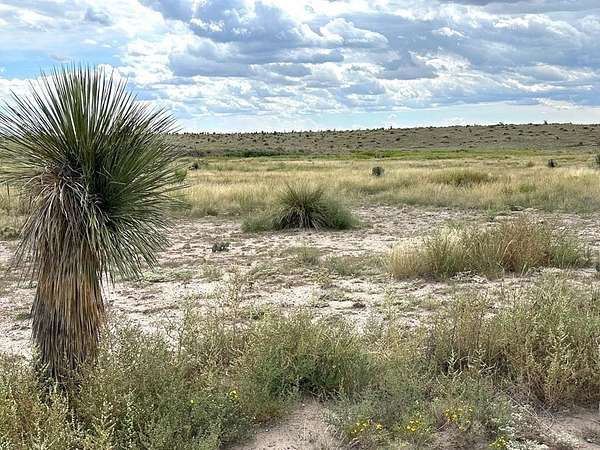 5 Acres of Land for Sale in Marfa, Texas