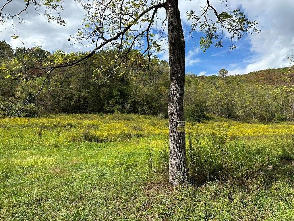 Residential Land for Sale in Hinton, West Virginia