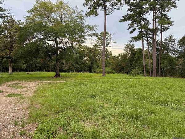 1.7 Acres of Land for Sale in Livingston, Louisiana