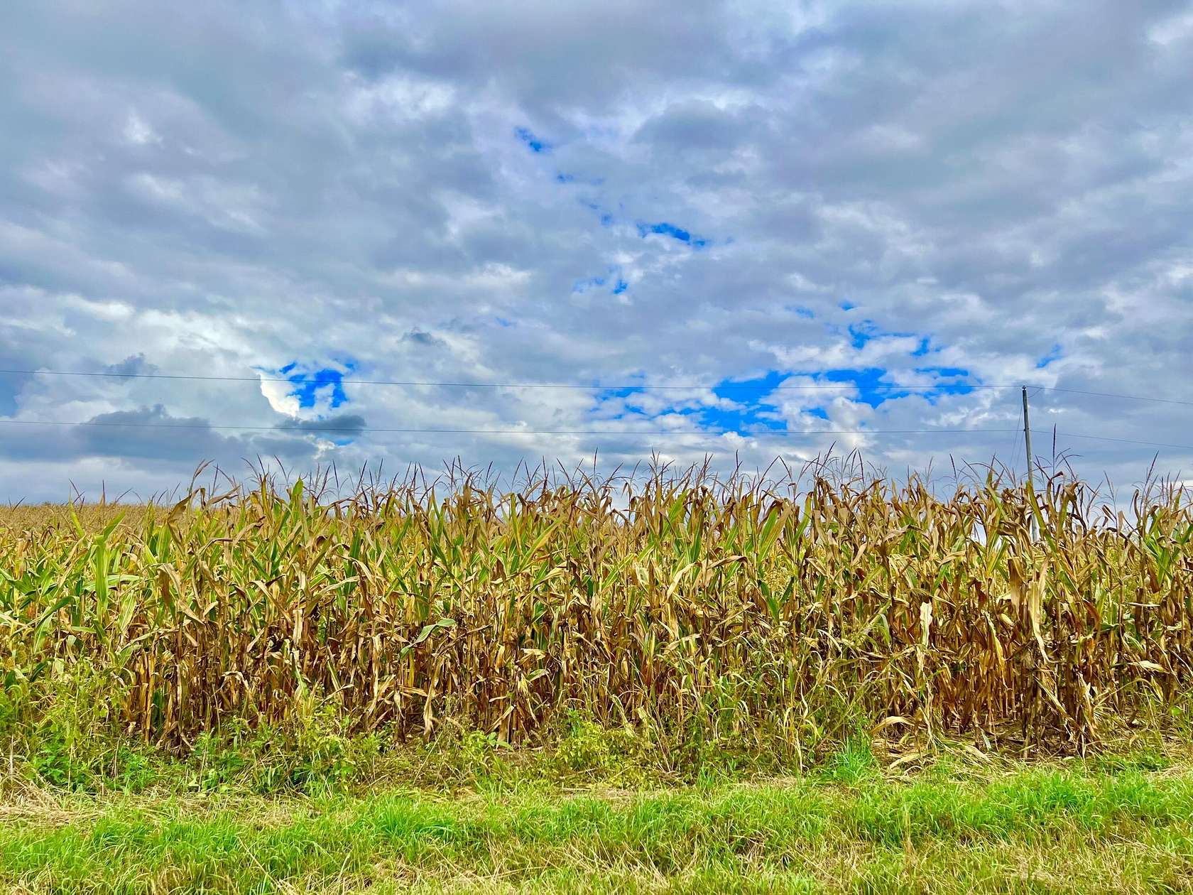 10 Acres of Land for Sale in Hillsdale, Michigan