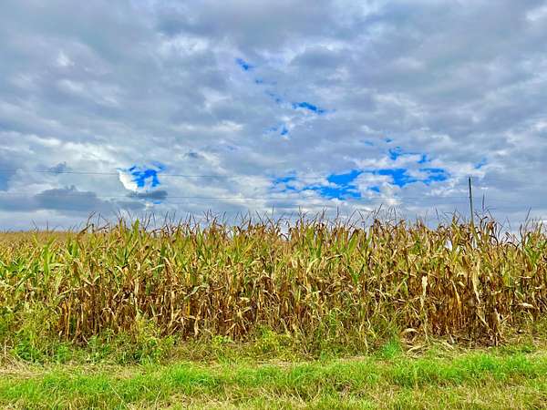 10 Acres of Land for Sale in Hillsdale, Michigan