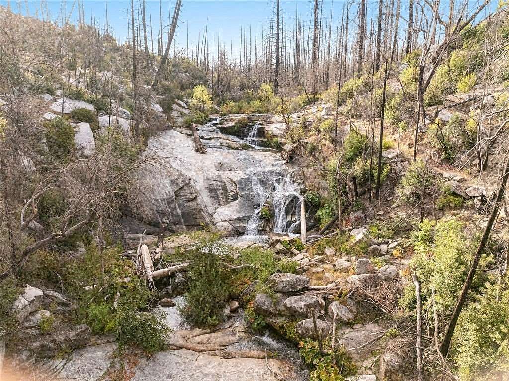 15.4 Acres of Land for Sale in Berry Creek, California