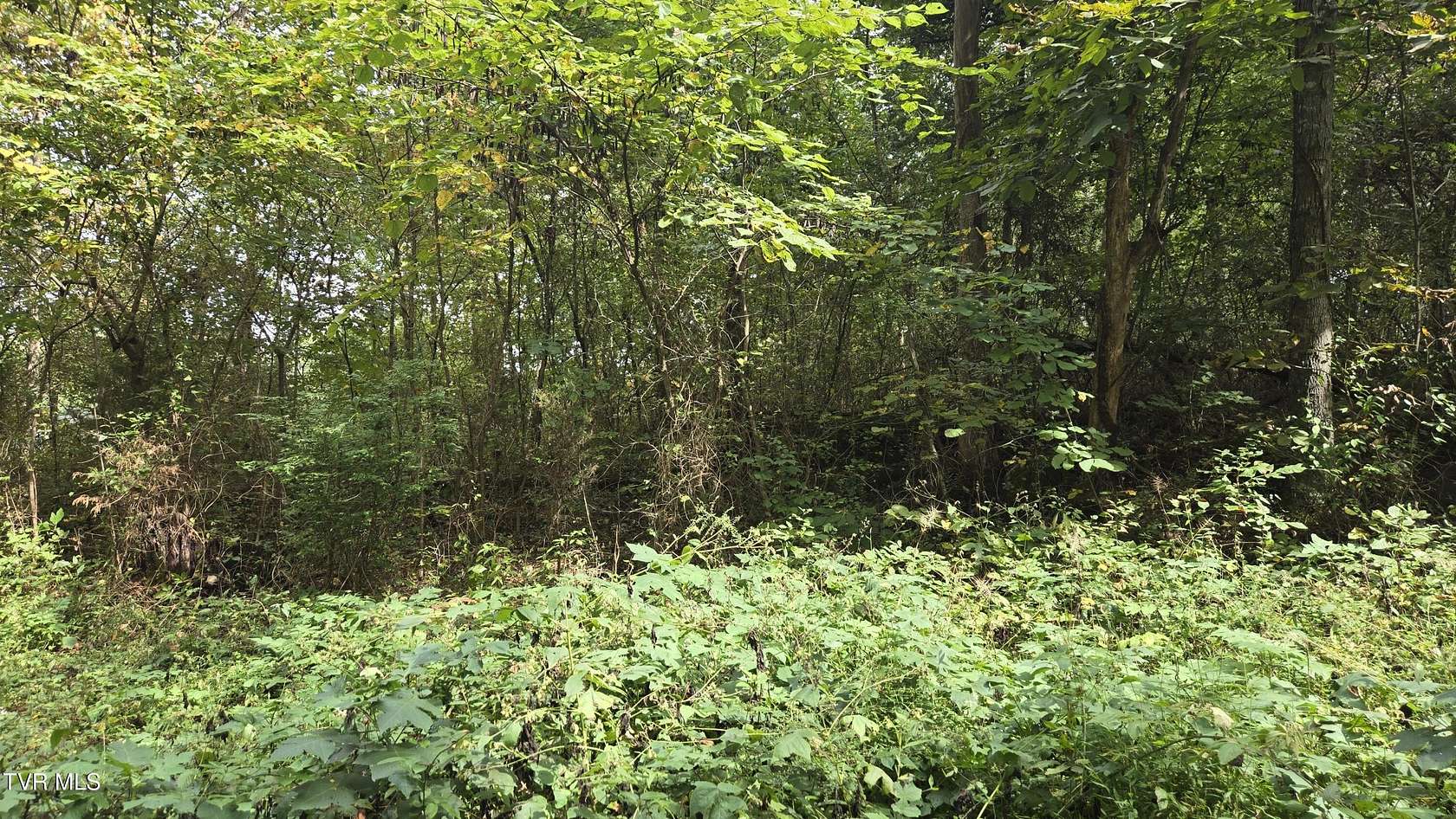 0.33 Acres of Residential Land for Sale in Gray, Tennessee