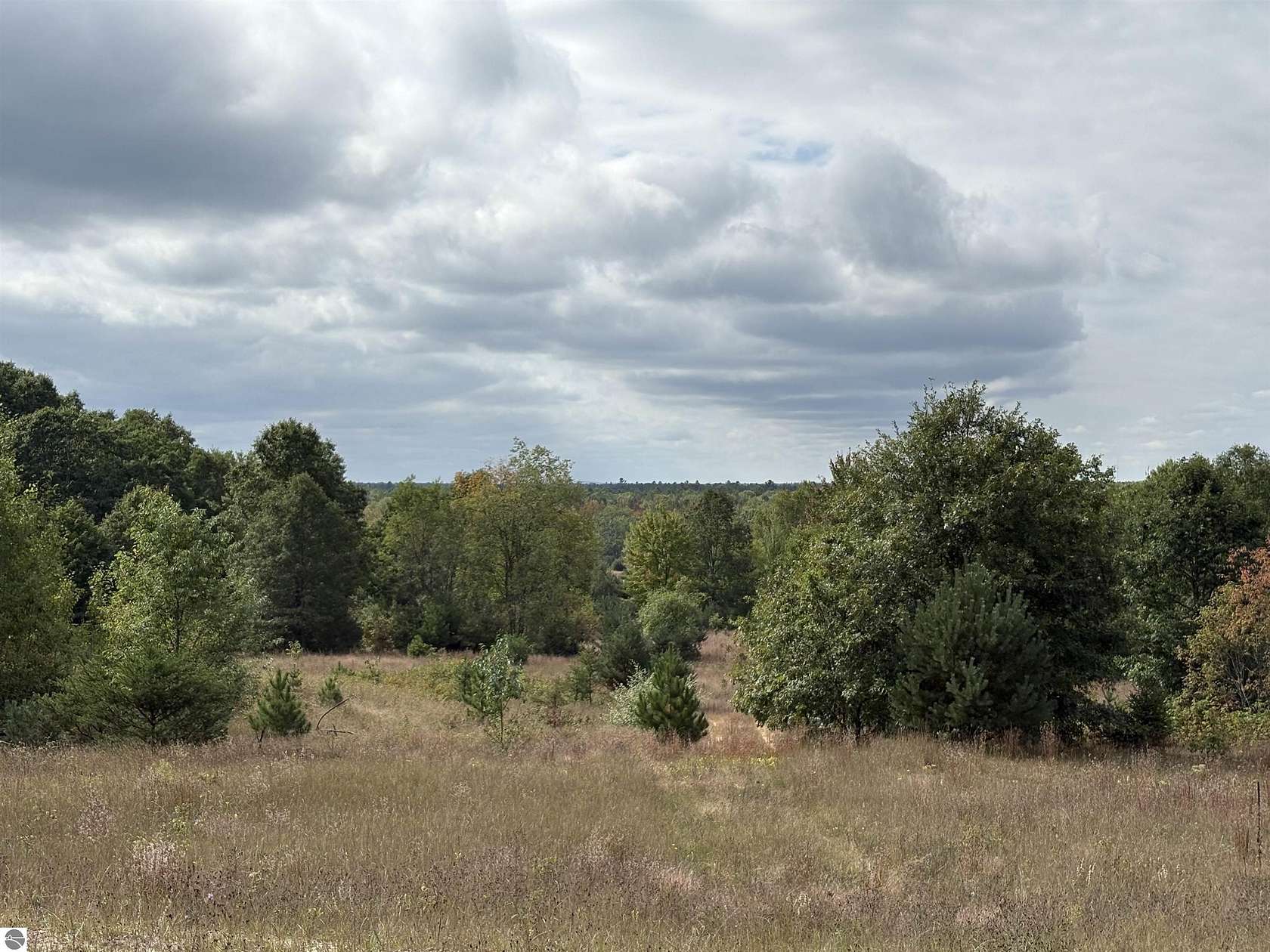 80 Acres of Recreational Land for Sale in Fife Lake, Michigan