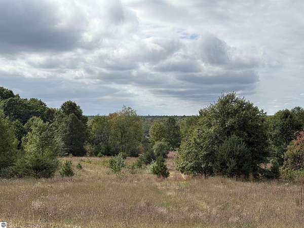 80 Acres of Recreational Land for Sale in Fife Lake, Michigan