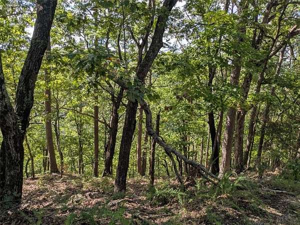 0.44 Acres of Residential Land for Sale in Holiday Island, Arkansas