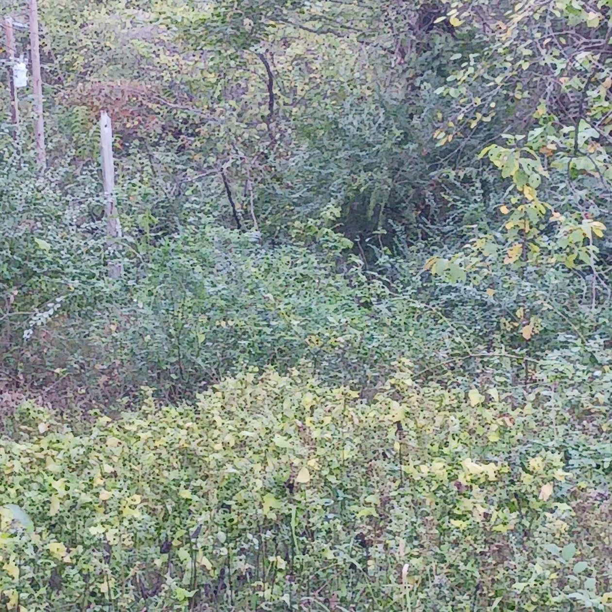 0.03 Acres of Land for Sale in Theodosia, Missouri