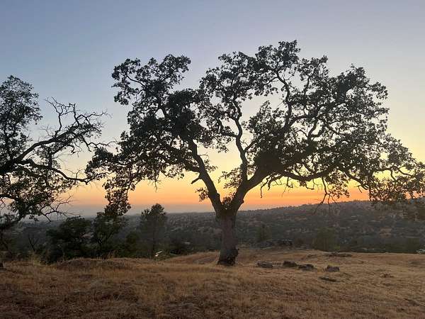 4.65 Acres of Residential Land for Sale in Coarsegold, California