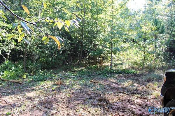 12.2 Acres of Land for Sale in Fort Payne, Alabama