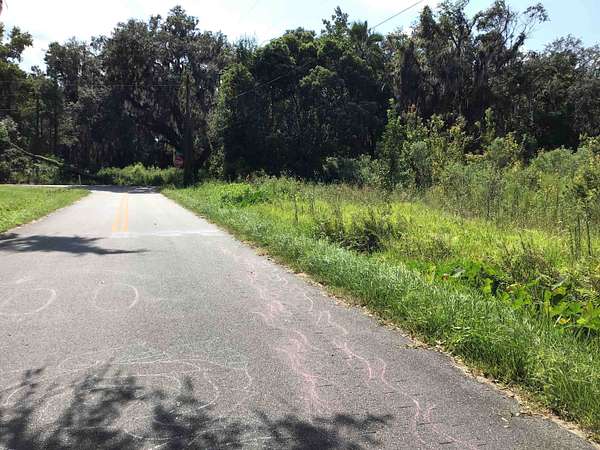 9.54 Acres of Land for Sale in Palatka, Florida