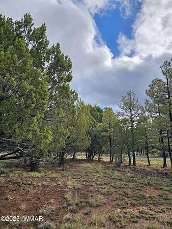 0.8 Acres of Residential Land for Sale in Heber, Arizona
