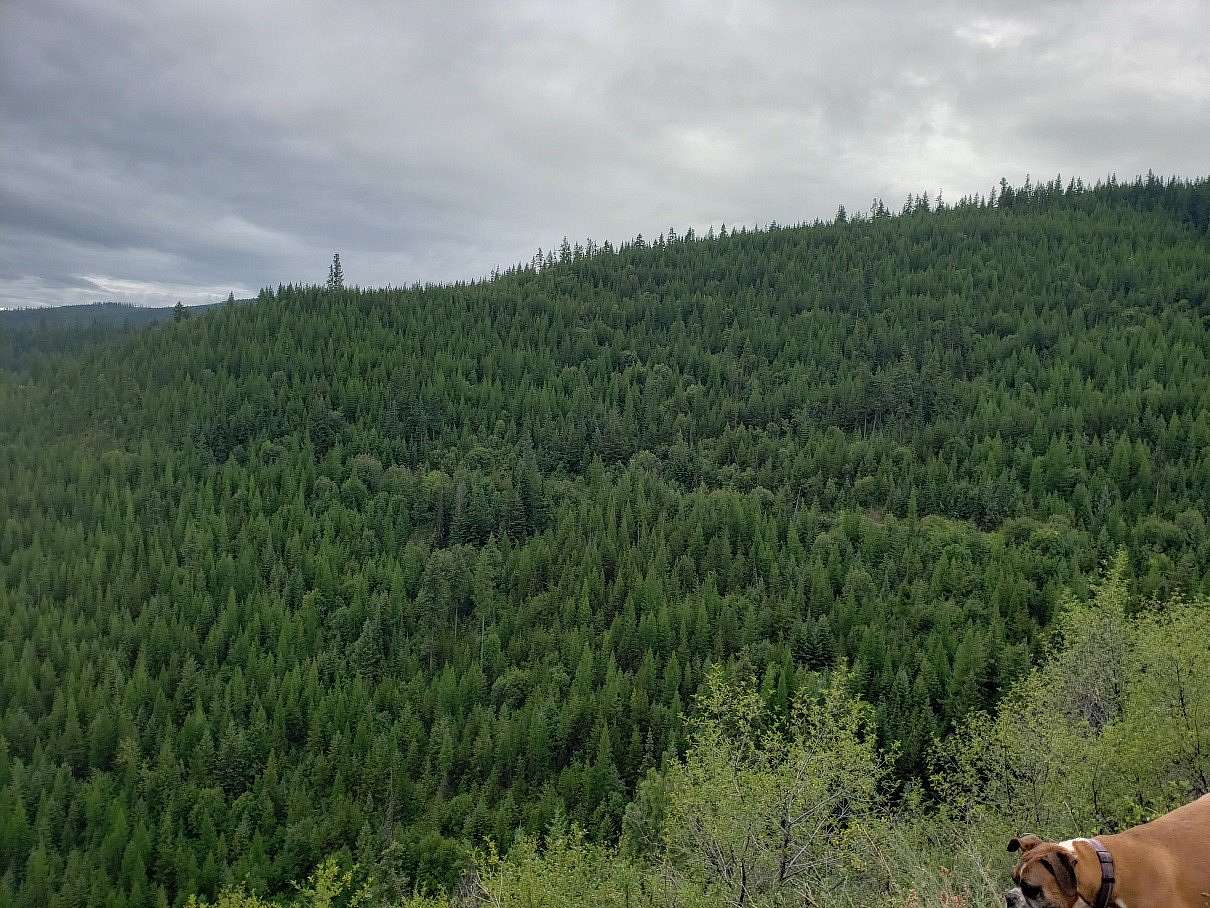 14.3 Acres of Recreational Land for Sale in Huson, Montana