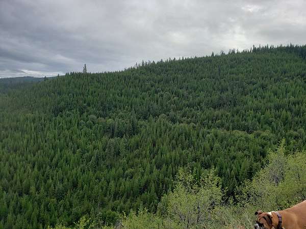 14.3 Acres of Recreational Land for Sale in Huson, Montana