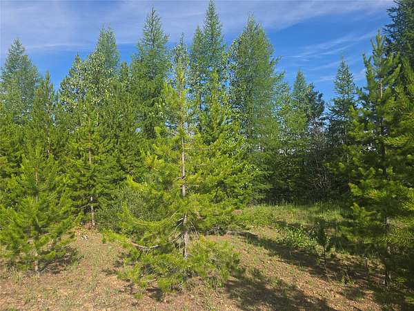 18.4 Acres of Recreational Land for Sale in Huson, Montana
