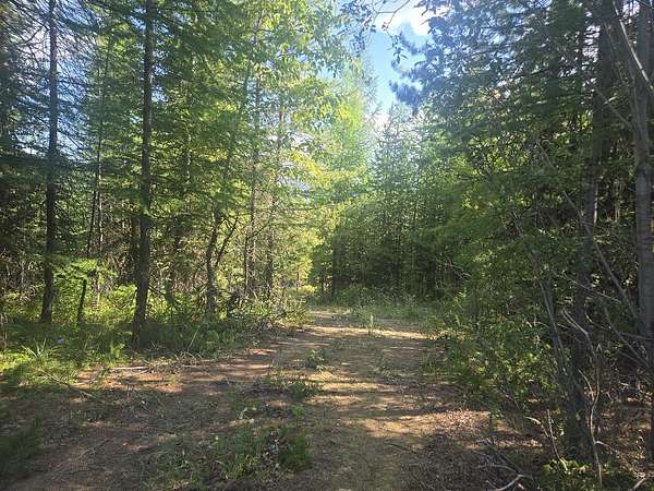 18.4 Acres of Recreational Land for Sale in Huson, Montana