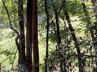 0.89 Acres of Residential Land for Sale in Ellijay, Georgia