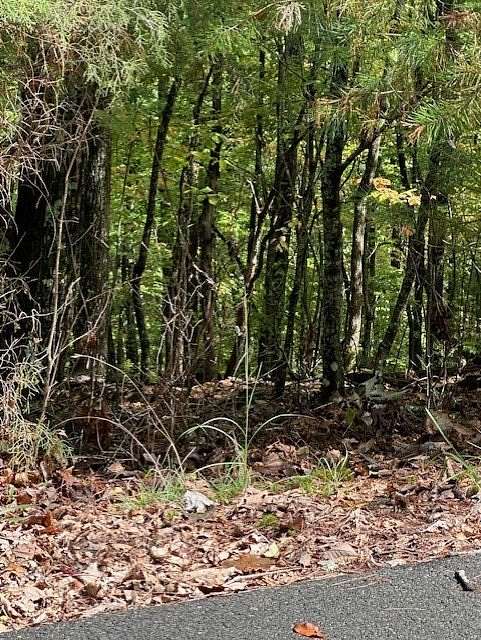 3 Acres of Land for Sale in Blairsville, Georgia