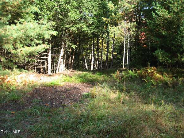 1.32 Acres of Residential Land for Sale in Chestertown, New York