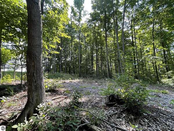 17.3 Acres of Agricultural Land for Sale in Kingsley, Michigan