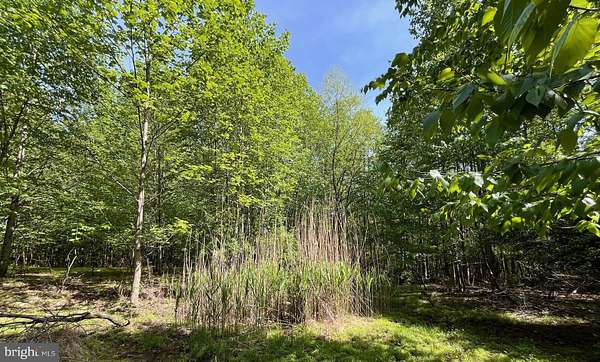 5.5 Acres of Residential Land for Sale in Kempton, Pennsylvania