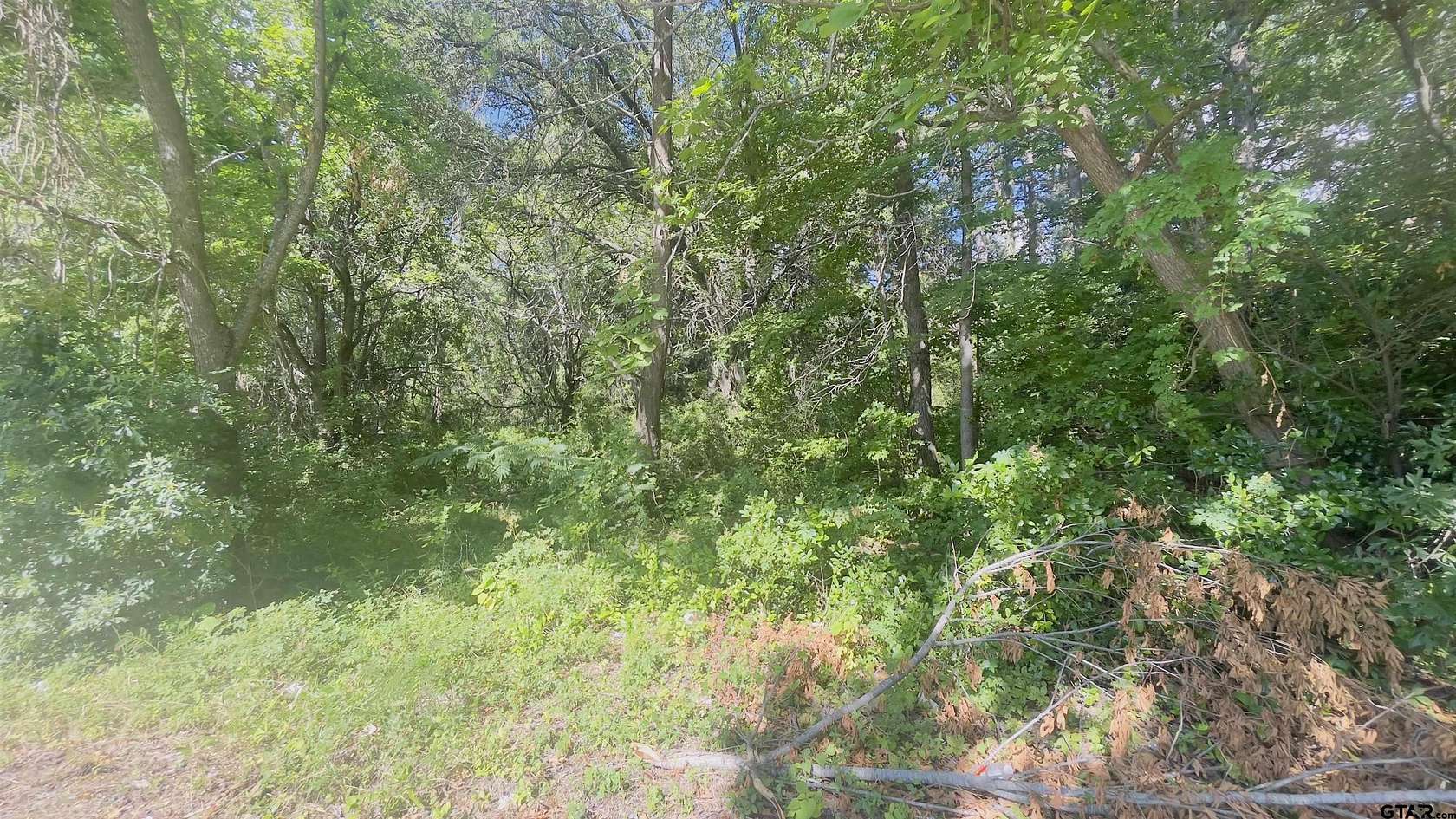 9.7 Acres of Land for Sale in Marshall, Texas