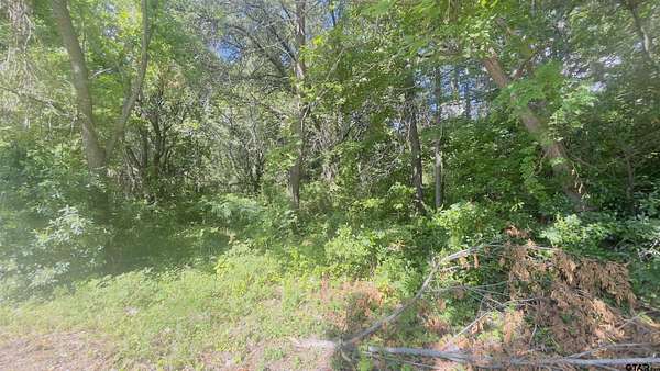 9.7 Acres of Land for Sale in Marshall, Texas