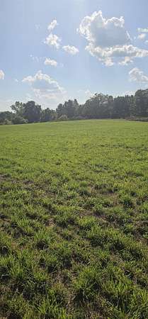 10 Acres of Land for Sale in Brooklyn, Michigan