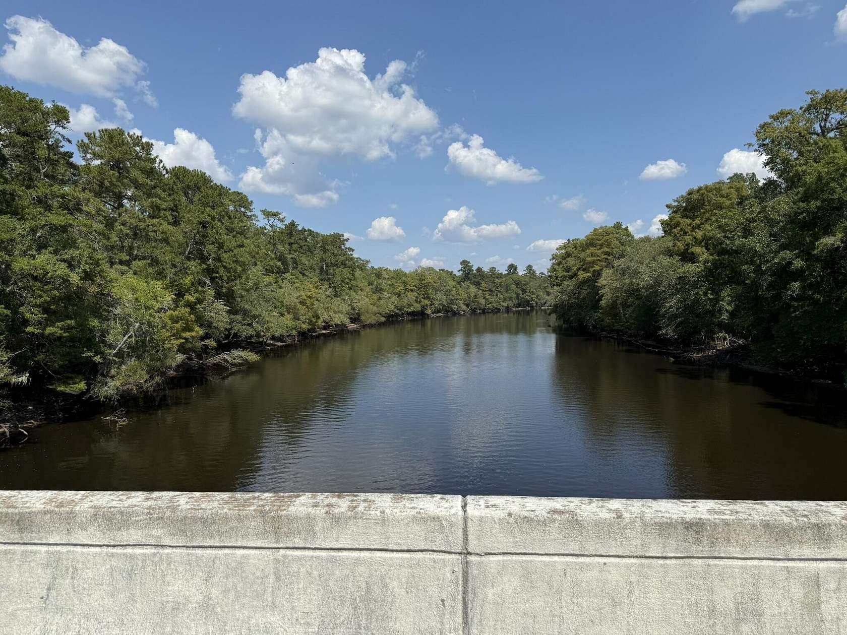 0.25 Acres of Land for Sale in Ridgeville, South Carolina