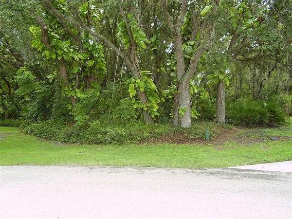 0.48 Acres of Residential Land for Sale in Kissimmee, Florida