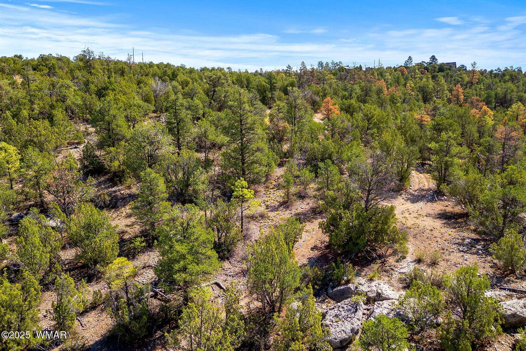 1.22 Acres of Residential Land for Sale in Overgaard, Arizona