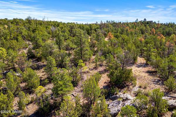 1.22 Acres of Residential Land for Sale in Overgaard, Arizona