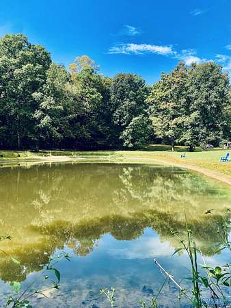 15.4 Acres of Land with Home for Sale in Valley Head, Alabama