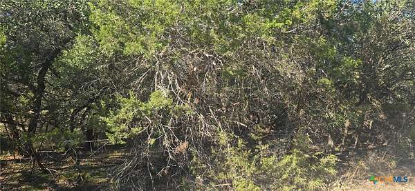 0.23 Acres of Residential Land for Sale in Spring Branch, Texas