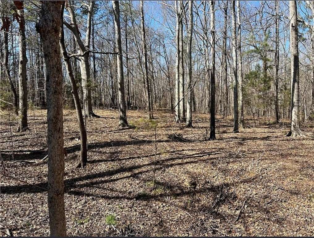 18 Acres of Land for Sale in Anderson, South Carolina