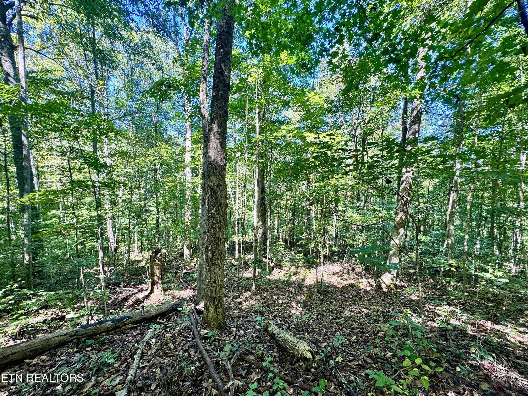 9.46 Acres of Land for Sale in Wilder, Tennessee