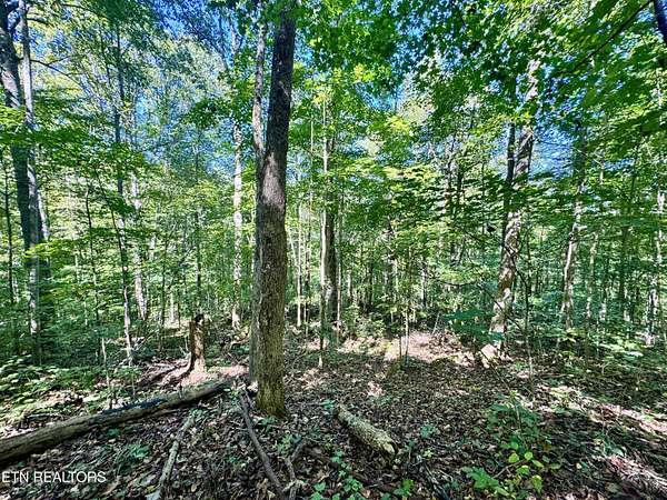 9.46 Acres of Land for Sale in Wilder, Tennessee