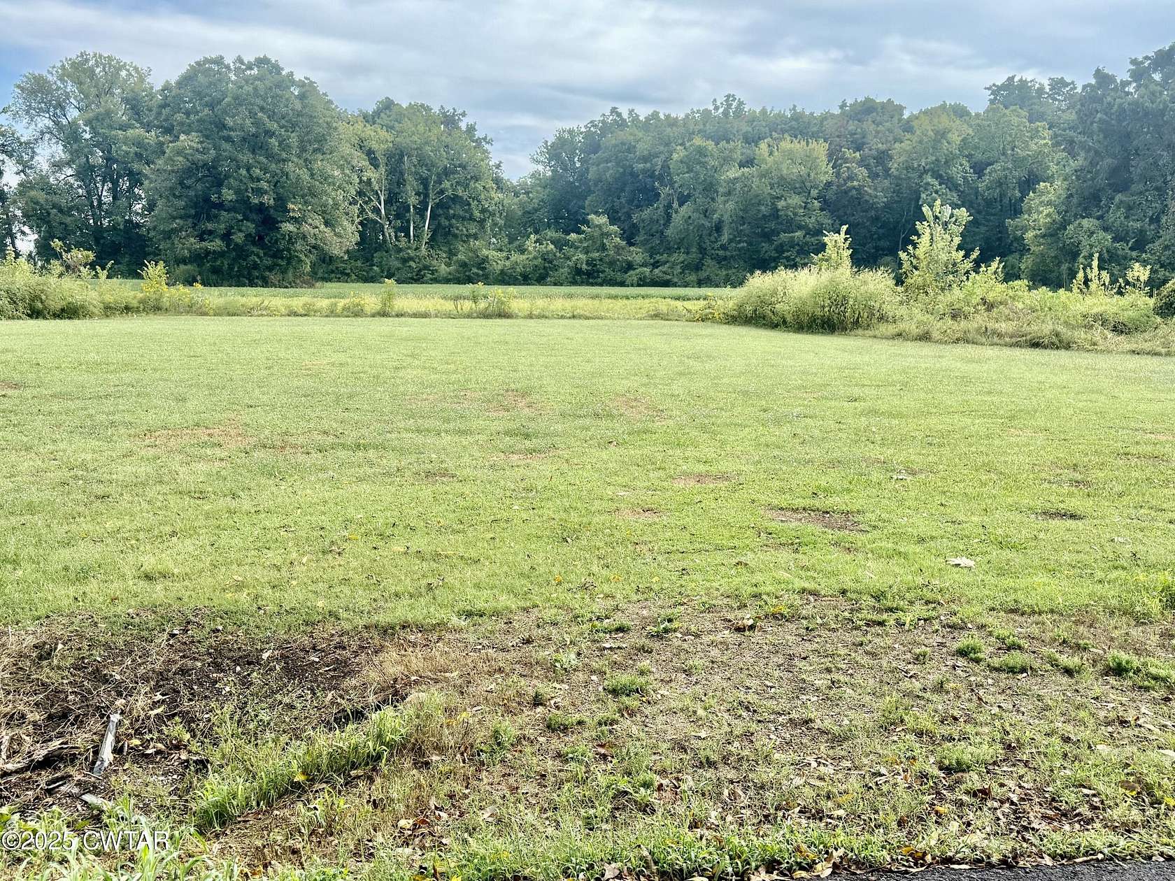 0.35 Acres of Land for Sale in Tiptonville, Tennessee