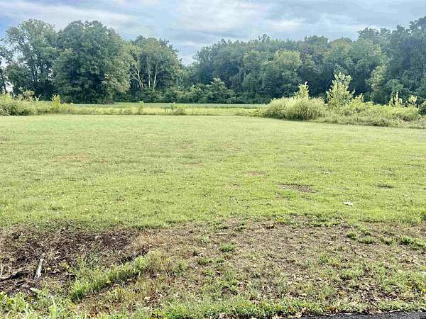 0.35 Acres of Land for Sale in Tiptonville, Tennessee