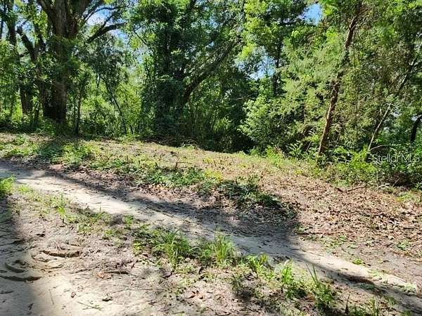 2.55 Acres of Residential Land for Sale in Live Oak, Florida