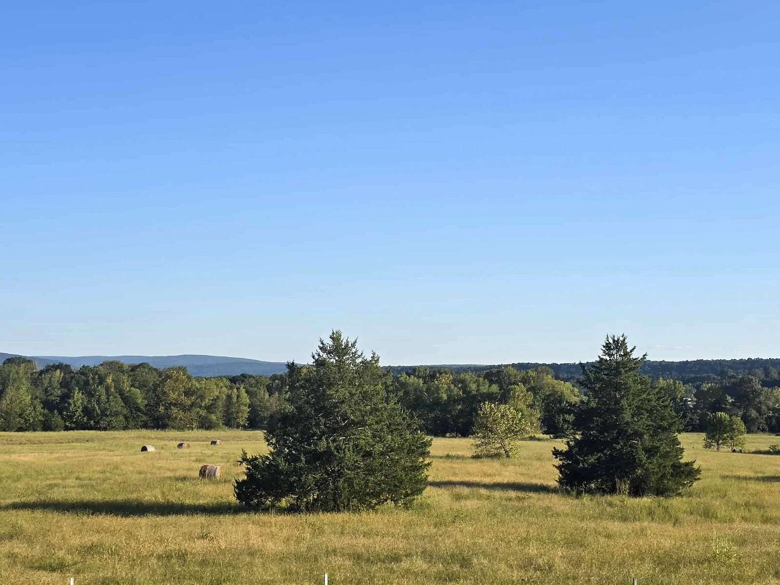 16 Acres of Land for Sale in Booneville, Arkansas