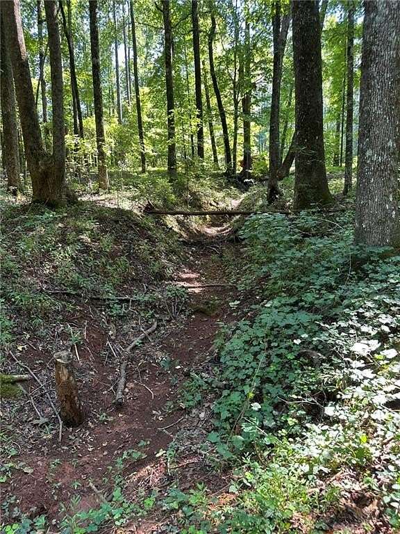 199 Acres of Recreational Land with Home for Sale in Good Hope, Georgia